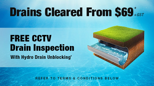 Drain Clearing Porirua